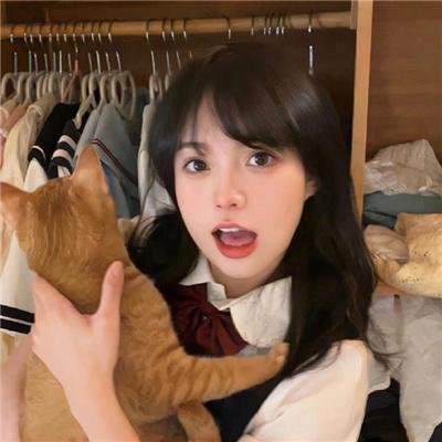至上之法