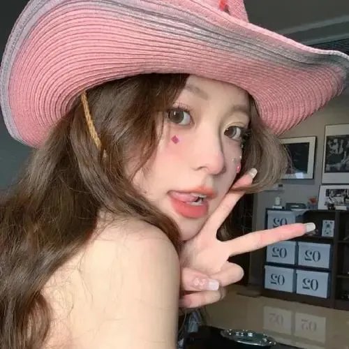 模型姐妹